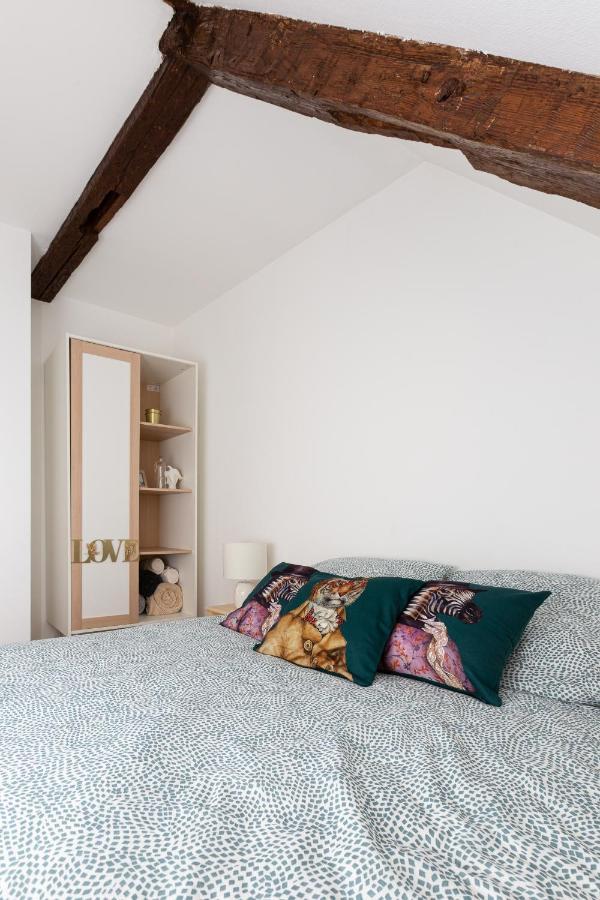 Petite France-Cathedrale, Duplex 100M2- 3 Chambres Štrasburk Exteriér fotografie