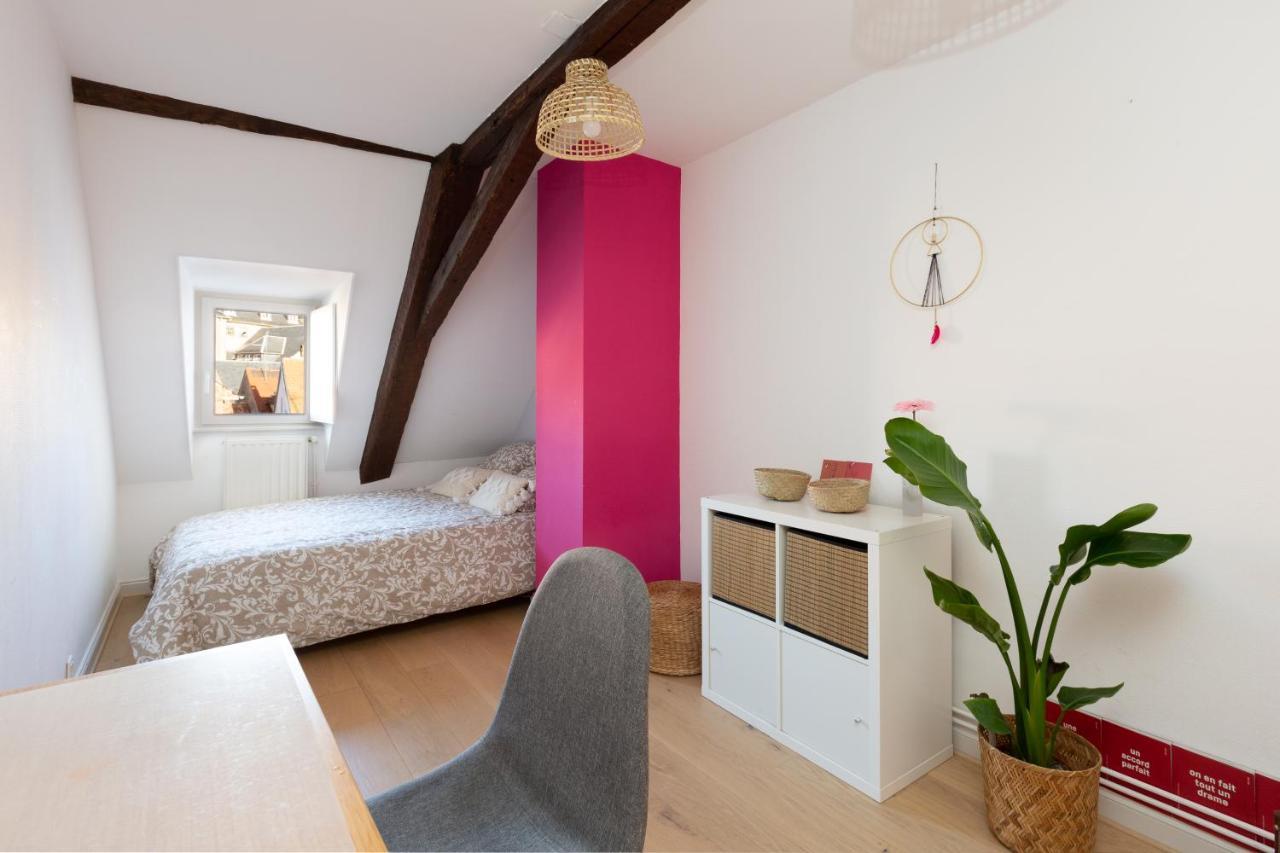 Petite France-Cathedrale, Duplex 100M2- 3 Chambres Štrasburk Exteriér fotografie